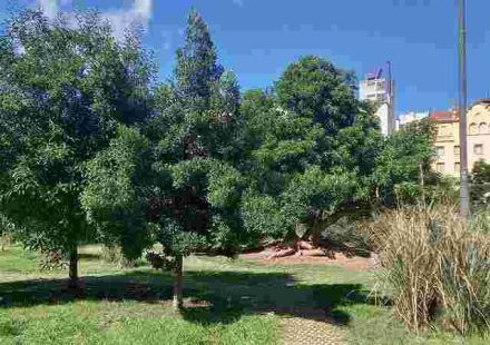 post-image